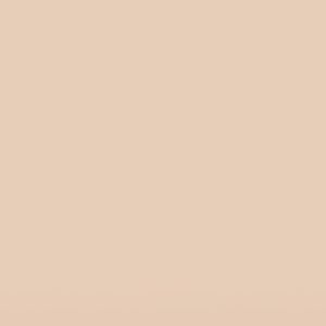 Denny Mfg Seamless Paper Backdrop for Photoshoot, Buff, 107 in x 36 ft | Photoshoot backdrop, Matte Finish for Portraits, Product Photos and Video Shoots, with Free Roll Gaffer Tape (2 in x 13 ft) - Image 9