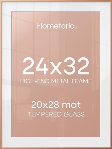 Homeforia 24x32 Rose Poster Frame, High-End Metal, 20x28 Mat, Glass by Homeforia