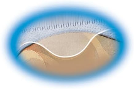 Avery Clear DVD Storage Sleeves for 3 Ring Binder, Two-Sided, Pack of 5 Holds 20 CD/DVDs Total (75263) - Image 5