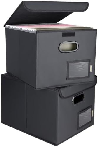 BALEINE File Organizer Box with Lid, Collapsible Hanging File Storage Box by BALEINE