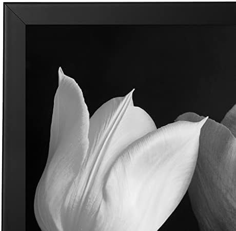 Americanflat 18x18 Poster Frame - Engineered Wood - Black - Image 6