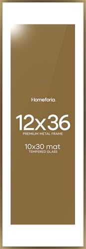 Homeforia 12x36 Bronze Picture Frame, High-End Metal, 10x30 Mat, Glass by Homeforia