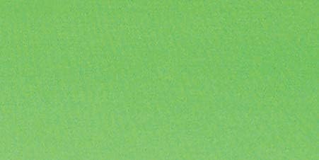 Pioneer 8 Inch by 8 Inch Postbound Fabric Frame Cover Memory Book, Citrus Green - Image 3