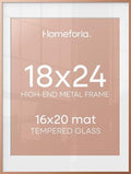 Homeforia 18x24 Rose Poster Frame, High-End Metal, 16x20 Mat, Glass by Homeforia