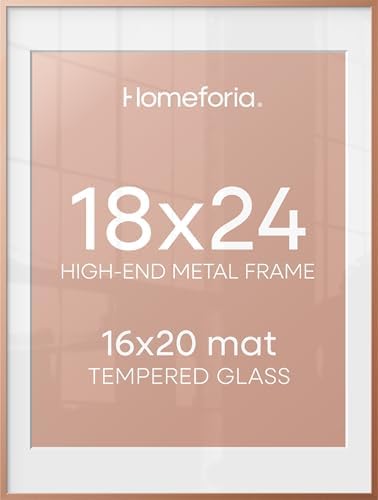 Homeforia 18x24 Rose Poster Frame, High-End Metal, 16x20 Mat, Glass by Homeforia