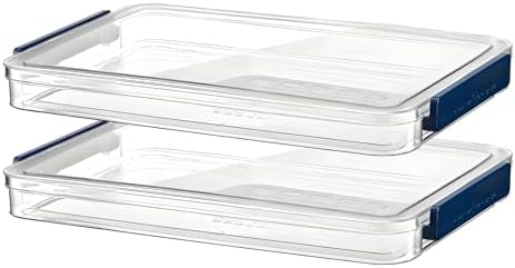 Clear Storage Box with Latch, 2 Pack, Stackable by RHONZHAO