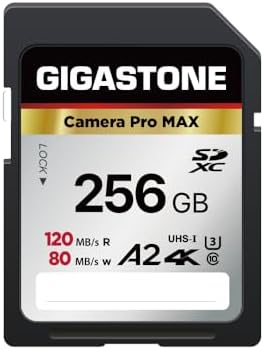 【5-Years Data Recovery】 GIGASTONE 256GB SD Card 4K Camera Pro MAX, UHS-I A2 4K SDXC Memory Card High Speed 4K UHD Video Speed up to 170MB/s Compatible with Kodak Digital Camera with 1 Mini case by Gigastone
