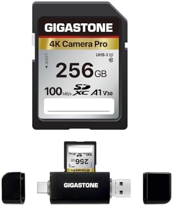 【5-Years Data Recovery】 GIGASTONE 256GB SD Card with USB Type C Card Reader, 4K Camera Pro, UHS-I A1 V30 U3 SDXC Memory Card Speed up to 170MB/s Compatible with Digital Camera, with 1 mini case by Gigastone