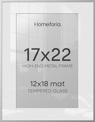 Homeforia 17x22 Silver Picture Frame, High-End Metal, 12x18 Mat, Glass by Homeforia