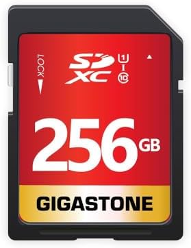 GIGASTONE 256GB SD Card UHS-I U1 Class 10 SDXC Memory Card High Speed Full HD Video Speed up to 80MB/s Nikon Sony Pentax Kodak Olympus Panasonic Digital Camera, with 1 mini case by Gigastone
