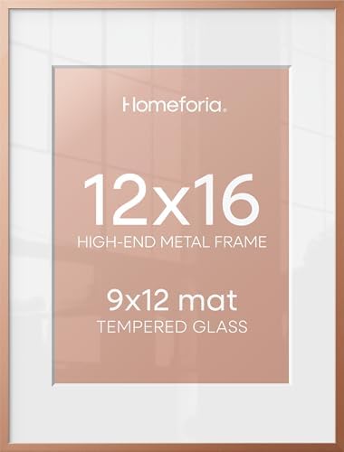 Homeforia 12x16 Rose Picture Frame, High-End Metal, 9x12 Mat, Glass by Homeforia
