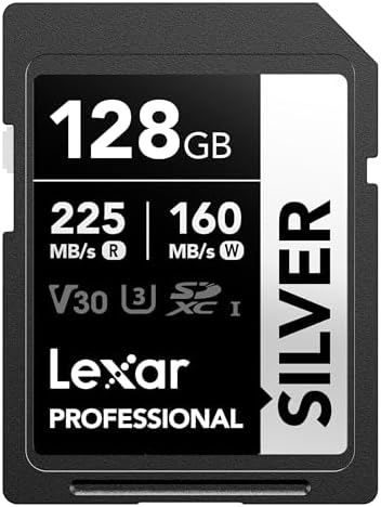 Lexar 128GB Silver SD Memory Card, 225MB/s Read, 4K, V30, U3, UHS-I by Lexar