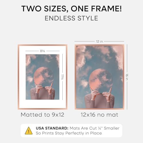 Homeforia 12x16 Rose Picture Frame, High-End Metal, 9x12 Mat, Glass - Image 2