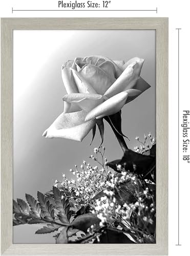 Americanflat 12x18 Poster Frame - Gray Engineered Wood with Polished Plexiglass - Wide Picture Frame for Vertical or Horizontal Wall Display - Epic Collection - Gray - Image 2