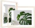 Egofine 8.5x11 Floating Frames Set of 2, Double Plexiglass Picture Frame, Made of Solid Wood Display Any Size Photo up to 8.5x11, Wall Mount or Tabletop Standing, Beige by Egofine