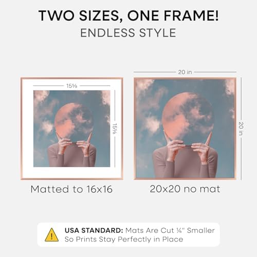 Homeforia 20x20 Rose Picture Frame, High-End Metal, 16x16 Mat, Glass - Image 2