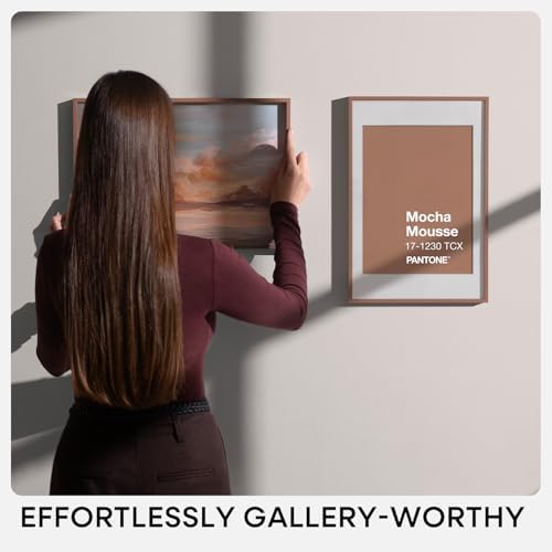 Homeforia 17x24 Mocha Picture Frame, High-End Metal, 13x19 Mat, Glass - Image 7