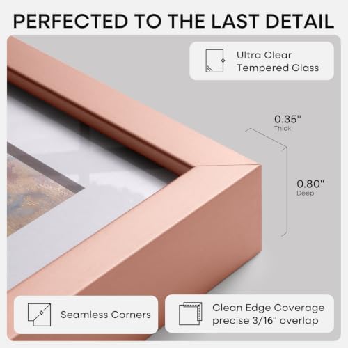 Homeforia A3 Rose Picture Frame, High-End Metal, A4 Mat, Glass - Image 6