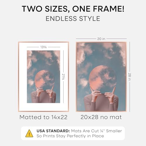 Homeforia 20x28 Rose Picture Frame, High-End Metal, 14x22 Mat, Glass - Image 2