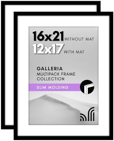 Americanflat 16x21 Poster Frame 2-Pack - Matted to 12x17 - Black by Americanflat