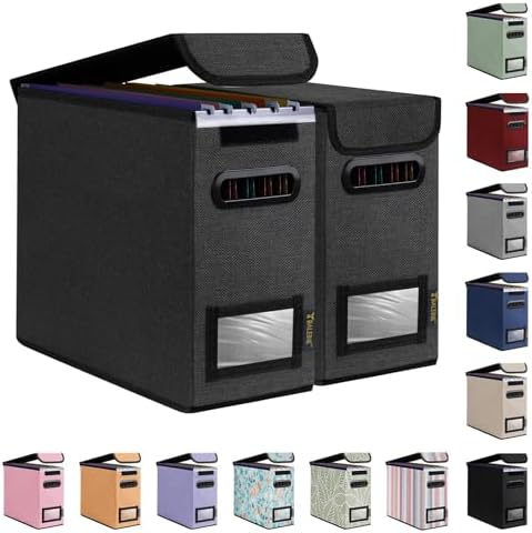 BALEINE File Organizer Box with Lid, Collapsible Hanging File Storage Box by BALEINE
