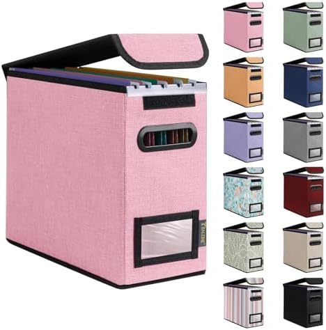 BALEINE File Organizer Box with Lid, Collapsible Hanging File Storage Box by BALEINE