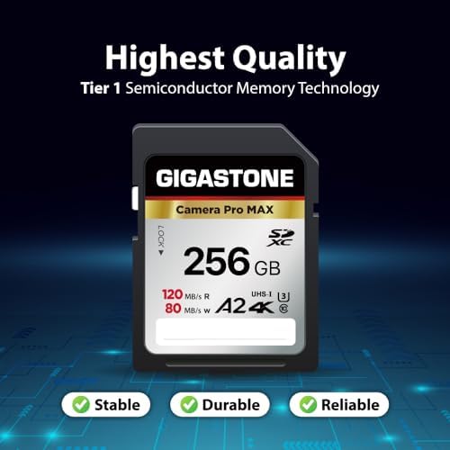 【5-Years Data Recovery】 GIGASTONE 256GB SD Card 4K Camera Pro MAX, UHS-I A2 4K SDXC Memory Card High Speed 4K UHD Video Speed up to 170MB/s Compatible with Kodak Digital Camera with 1 Mini case - Image 6