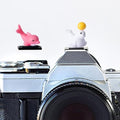 Camera Hot Shoe Cover, Cartoon Hot Shoe Cap, Hot Shoe Protector Compatible with Sony Fujifilm Fuji Canon Nikon Pentax Leical Panasonic (2pcs Seal Dolphin) by MENGSOOD