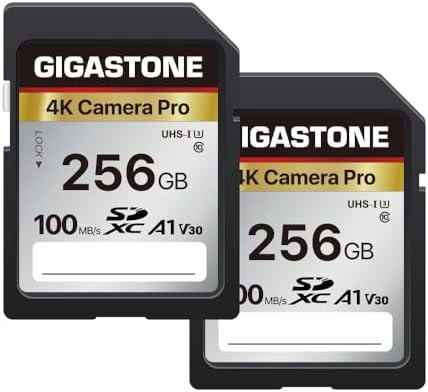 【5-Years Data Recovery】 GIGASTONE 256GB SD Card 2-Pack, 4K Camera Pro, UHS-I A1 V30 SDXC Memory Card 4K UHD Video Speed up to 170MB/s Compatible with Digital Camera, with 2 Mini Cases by Gigastone