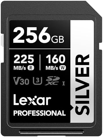 Lexar 256GB Silver SD Memory Card, 225MB/s Read, 4K, V30, U3, UHS-I by Lexar