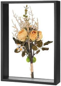 M METERXITY Dried Flower Frame 8x12in Double Acrylic for DIY Black by MMETERXITY