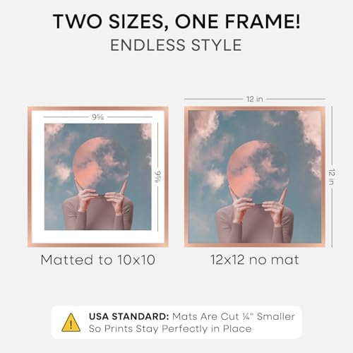 Homeforia 12x12 Rose Picture Frame, High-End Metal, 10x10 Mat, Glass - Image 2