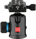 Oben BC-126 Ball Head by Oben