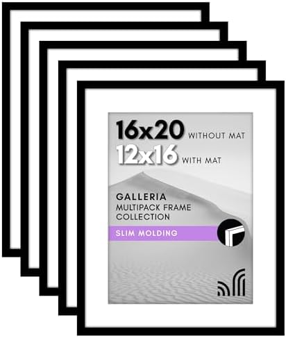 Americanflat 16x20 Poster Frame 5-Pack - Matted to 12x16 - Black by Americanflat