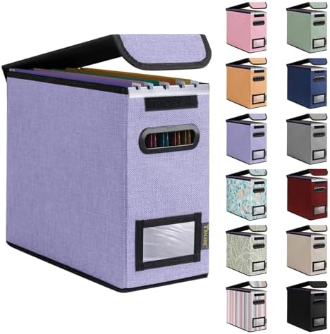 BALEINE File Organizer Box with Lid, Collapsible Hanging File Storage Box by BALEINE