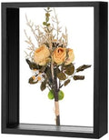 M METERXITY 1-Pack Dried Flower Frame, 6 x 8 Inch Double Acrylic Wooden Dried Flower Photo Floating Frame for Tabletop/DIY/Handicrafts [Black] by MMETERXITY
