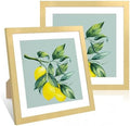 12x12 Picture Frame Set of 2, 12 x 12 Wood Photo Frames with Mat for 10x10 or 30x30cm Diamond Art Painting, Wooden Frame with Real Glass Cover for Wall and Tabletop Display,Gold by CCDCC