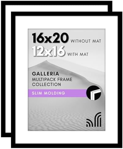 Americanflat 16x20 Poster Frame 2-Pack - Matted to 12x16 - Black by Americanflat