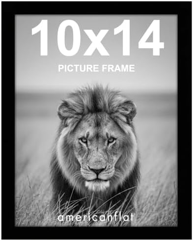 Americanflat 10x14 Picture Frame with Shatter-Resistant Glass - Signature Collection - Gallery-Style Frames Made of Engineered Wood - Photo Frame for Wall Display - Black by Americanflat