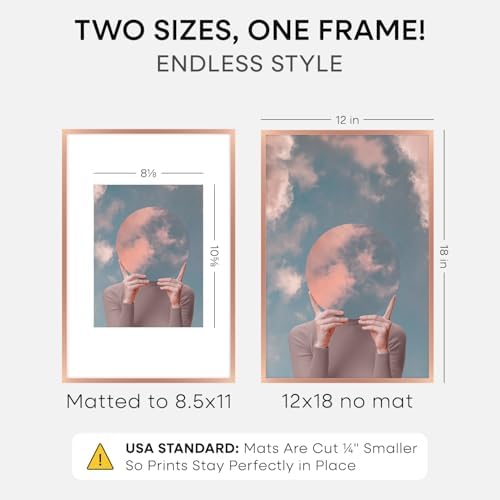 Homeforia 12x18 Rose Picture Frame, High-End Metal, 8.5x11 Mat, Glass - Image 2