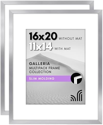 Americanflat 16x20 Poster Frame 2-Pack - Matted to 11x14 - Silver by Americanflat