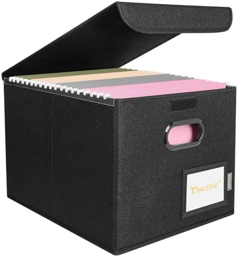 BALEINE File Organizer Box with Lid, Collapsible Hanging File Storage Box by BALEINE