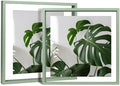 Egofine 12x12 Floating Frames Set of 2, Double Plexiglass Picture Frame, Made of Solid Wood Display Any Size Photo up to 12x12, Wall Mount or Tabletop Standing, Green by Egofine