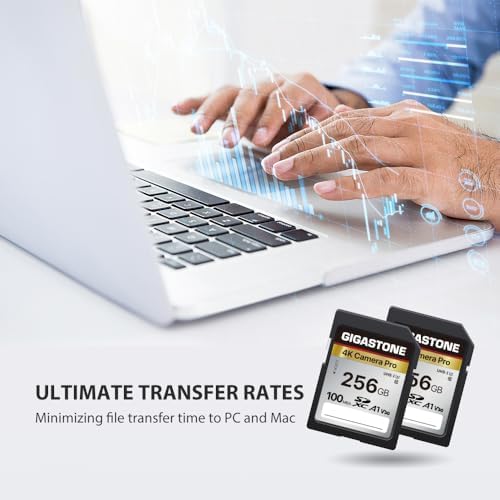 【5-Years Data Recovery】 GIGASTONE 256GB SD Card 2-Pack, 4K Camera Pro, UHS-I A1 V30 SDXC Memory Card 4K UHD Video Speed up to 170MB/s Compatible with Digital Camera, with 2 Mini Cases - Image 6