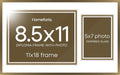 Homeforia 11x18 Bronze Diploma Frame, High-End Metal, 8.5x11 & 5x7 Mat by Homeforia