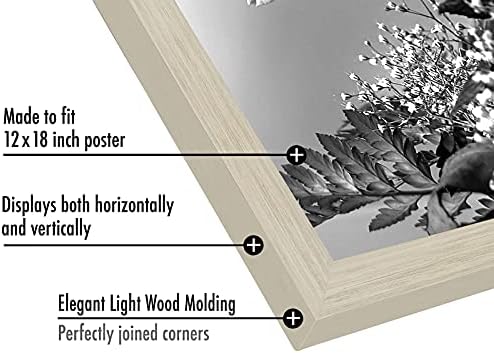 Americanflat 12x18 Poster Frame - Engineered Wood with Polished Plexiglass - Wide Picture Frame for Vertical or Horizontal Wall Display - Epic Collection - Light Wood - Image 3