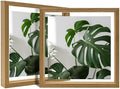 Egofine 8x8 Floating Frames Set of 2, Double Plexiglass Picture Frame, Made of Solid Wood Display Any Size Photo up to 8x8, Wall Mount or Tabletop Standing, Carbonized by Egofine