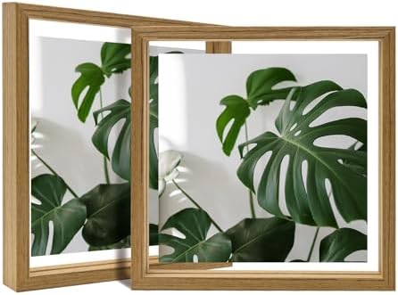 Egofine 8x8 Floating Frames Set of 2, Double Plexiglass Picture Frame, Made of Solid Wood Display Any Size Photo up to 8x8, Wall Mount or Tabletop Standing, Carbonized by Egofine