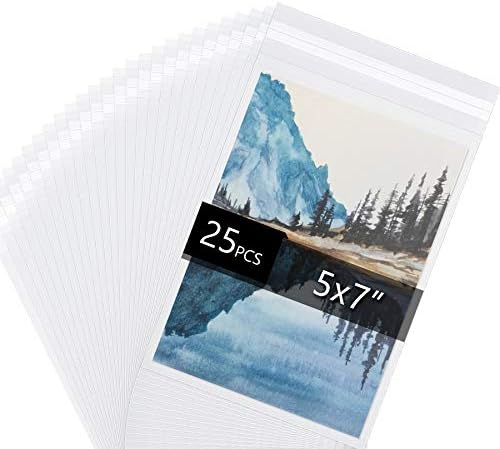 25 Pack Acid Free Crystal Sealed Clear Bags for 5x7 Art Prints, Photos by FallinginArt