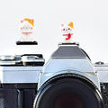 Camera Hot Shoe Cover, Cute Hot Shoe Cap, Hot Shoe Protector Compatible with Sony Fujifilm Fuji Canon Nikon Pentax Leical Panasonic (Lucky Cat) by MENGSOOD